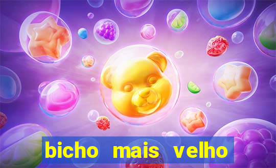 bicho mais velho da loteria dos sonhos